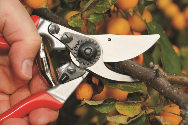 Felco 9 | Einhand Baum-, Reb-, Gartenschere | Hochleistung | Ergonomie | für Linkshänder | Baumschnitt